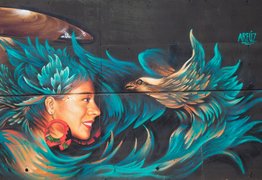 Grafiti: "Nuevas miradas sobre el arte urbano en Guadalajara". Foto: José Hernández Claire. Obras de Aréuz, "Meetings of style" 2014