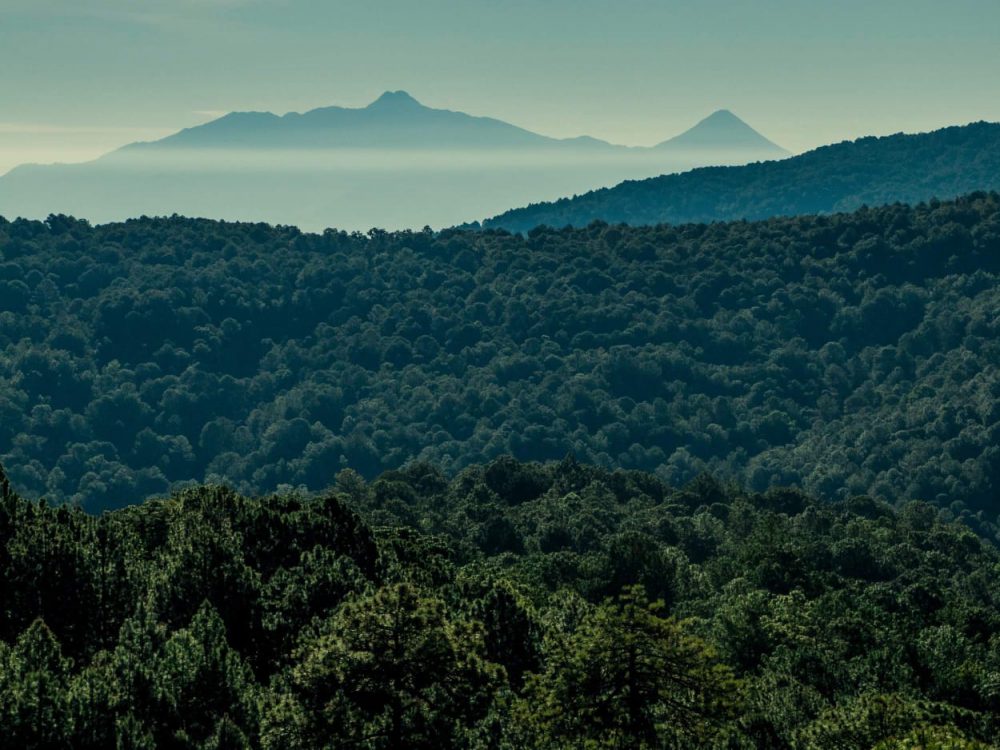 Vista al Nevado de Colima desde la Reserva de la Biosfera Sierra de Manantlán, hogar de 24 especies de colibríes en Jalisco.