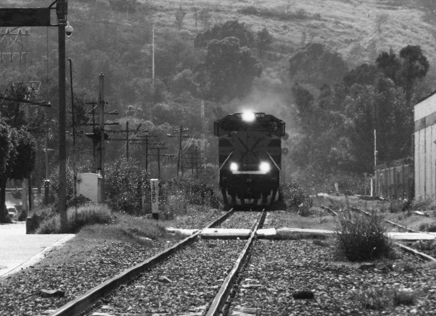 El tren cruzando Ocotlán. Foto: Yareli Lara