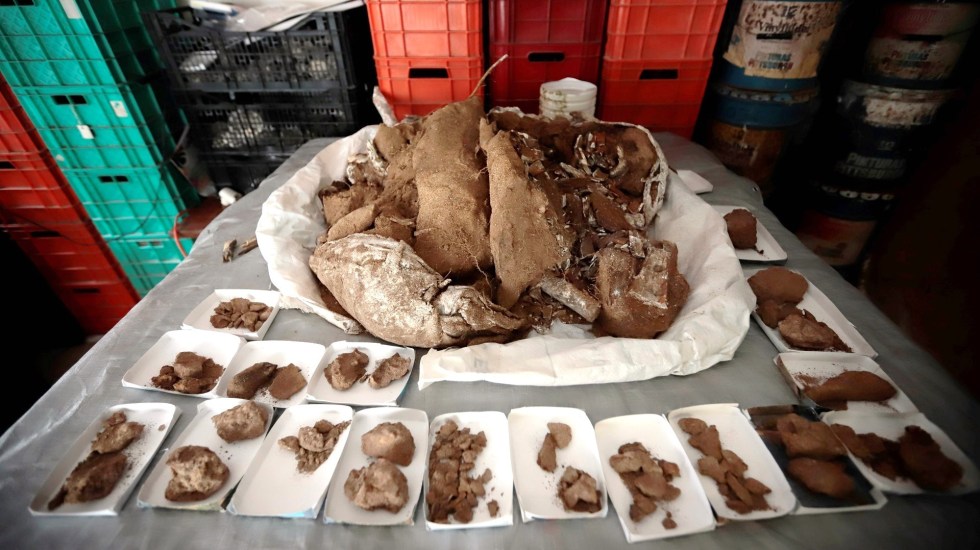 Descubrimiento de mamut en Zapotiltic