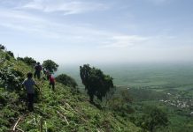 Sierra Cóndiro-Canales, hogar de 60 especies de hongos La Sierra Condiro-Canales se ubica entre los municipios de Atotonilco, Ocotlán y La Barca