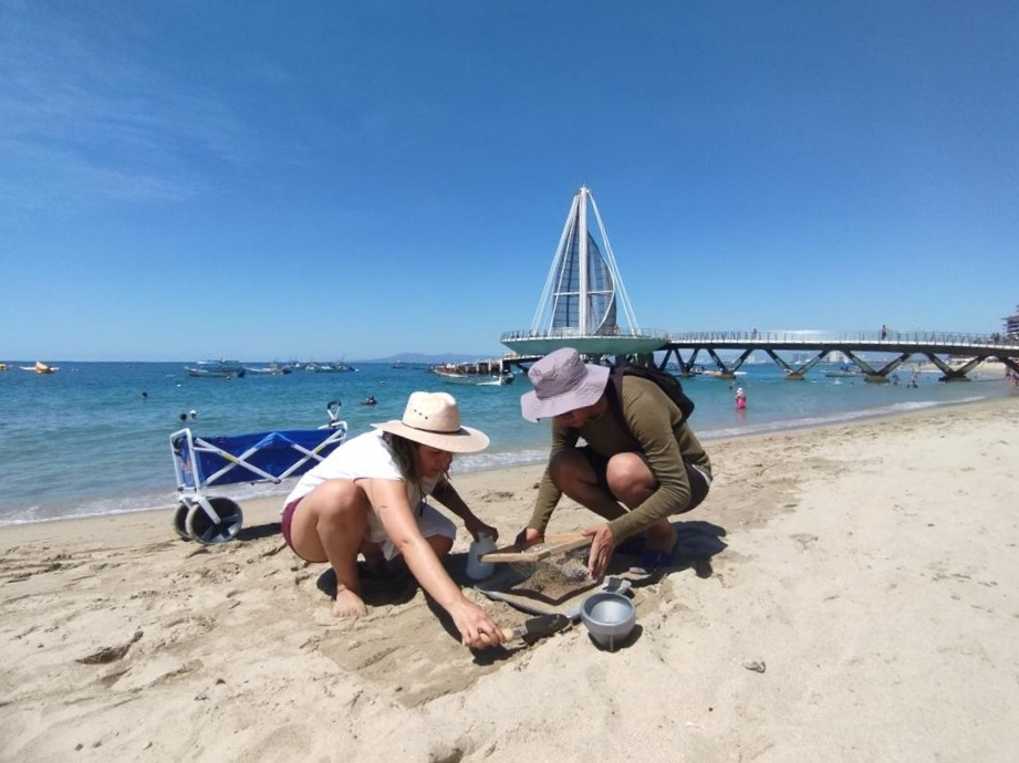 Investigadoras del CUTonalá trabajando con un tamiz en la arena de la Playa de los Muertos de Puerto Vallarta, con el muelle detrás de ellas