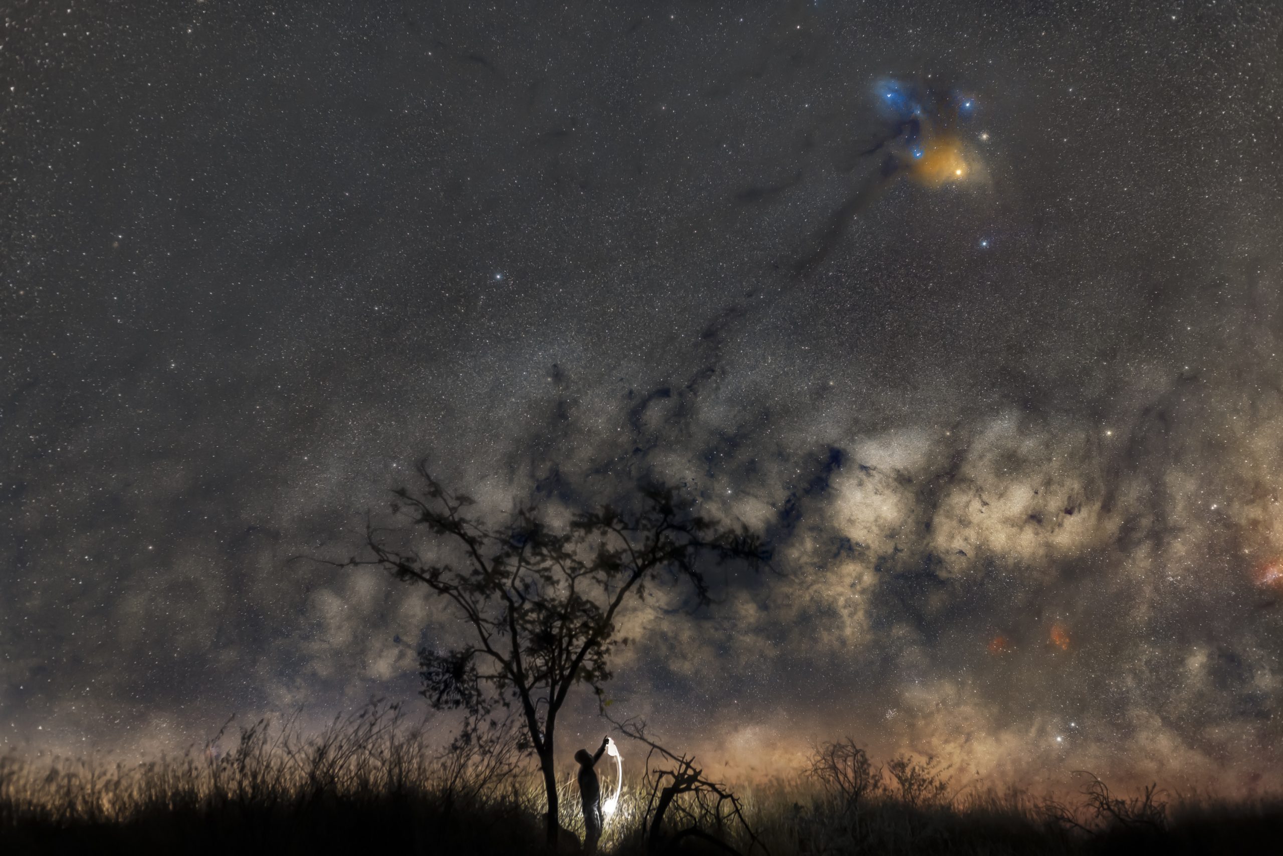 Debajo de un árbol se ve a la distancia la silueta de Alfonso Hernández que juega con un rayo de luz y en el cielo se muestran las manchas de cúmulos de estrellas de la bóveda celente.