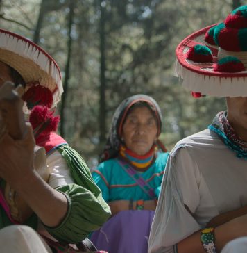“Un lugar llamado música”, la unión espiritual de dos mundos De Santa Catarina Cuexcomatitlán, Daniel Medina busca proyectar su talento fuera de México. Esto se muestra en el documental "Un lugar llamado música". Cortesía: Pimienta Films