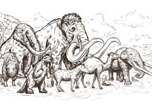 MIRa, un museo digital sobre la memoria de la Ribera de Chapala