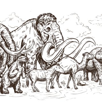 MIRa, un museo digital sobre la memoria de la Ribera de Chapala